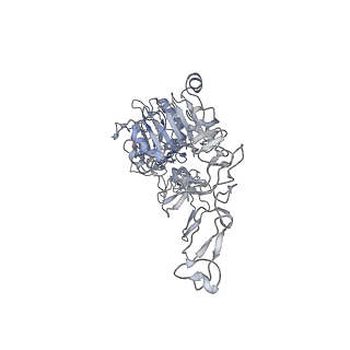 41885_8u4k_A_v1-0
Structure of the HER2/HER4/BTC Heterodimer Extracellular Domain