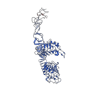 41886_8u4l_A_v1-0
Structure of the HER2/HER4/NRG1b Heterodimer Extracellular Domain