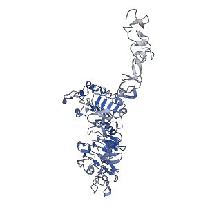 41886_8u4l_B_v1-0
Structure of the HER2/HER4/NRG1b Heterodimer Extracellular Domain