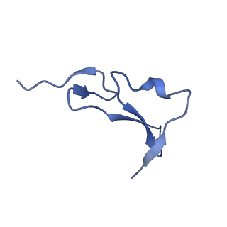 41886_8u4l_C_v1-0
Structure of the HER2/HER4/NRG1b Heterodimer Extracellular Domain