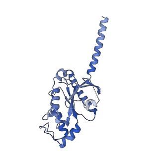 41888_8u4n_A_v1-0
Structure of Apo CXCR4/Gi complex