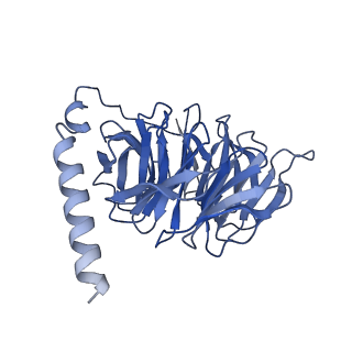 41888_8u4n_B_v1-0
Structure of Apo CXCR4/Gi complex