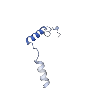 41888_8u4n_C_v1-0
Structure of Apo CXCR4/Gi complex