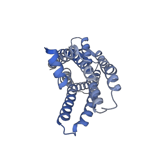 41888_8u4n_R_v1-0
Structure of Apo CXCR4/Gi complex