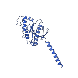 41889_8u4o_A_v1-0
Structure of CXCL12-bound CXCR4/Gi complex