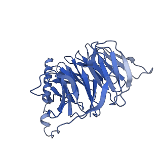 41889_8u4o_B_v1-0
Structure of CXCL12-bound CXCR4/Gi complex