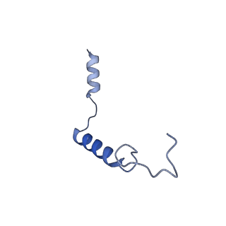 41889_8u4o_C_v1-0
Structure of CXCL12-bound CXCR4/Gi complex