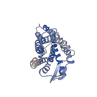 41889_8u4o_R_v1-0
Structure of CXCL12-bound CXCR4/Gi complex