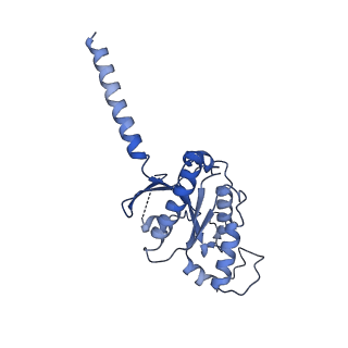 41890_8u4p_A_v1-0
Structure of AMD3100-bound CXCR4/Gi complex