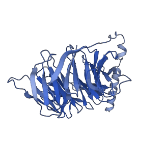 41890_8u4p_B_v1-0
Structure of AMD3100-bound CXCR4/Gi complex