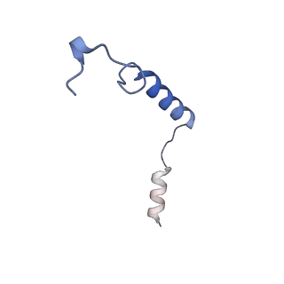 41890_8u4p_C_v1-0
Structure of AMD3100-bound CXCR4/Gi complex