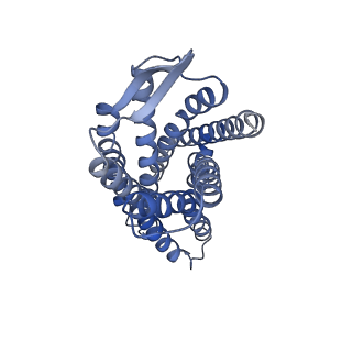 41890_8u4p_R_v1-0
Structure of AMD3100-bound CXCR4/Gi complex