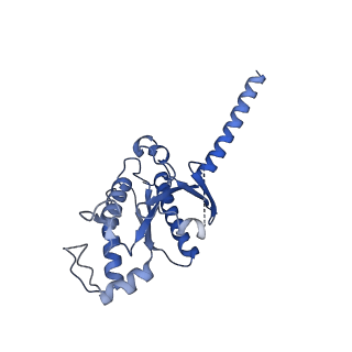 41891_8u4q_A_v1-0
Structure of REGN7663 Fab-bound CXCR4/Gi complex