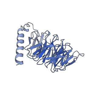 41891_8u4q_B_v1-0
Structure of REGN7663 Fab-bound CXCR4/Gi complex