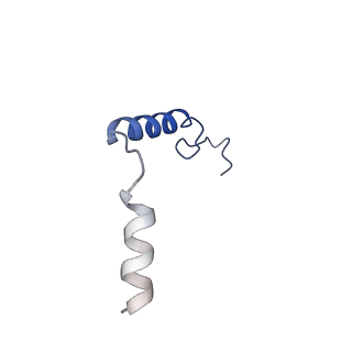 41891_8u4q_C_v1-0
Structure of REGN7663 Fab-bound CXCR4/Gi complex