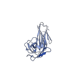 41891_8u4q_H_v1-0
Structure of REGN7663 Fab-bound CXCR4/Gi complex