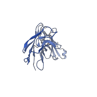 41891_8u4q_L_v1-0
Structure of REGN7663 Fab-bound CXCR4/Gi complex