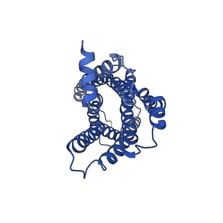 41891_8u4q_R_v1-0
Structure of REGN7663 Fab-bound CXCR4/Gi complex