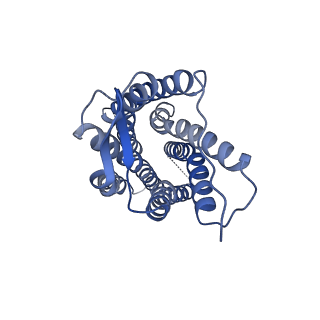 41892_8u4r_R_v1-0
Structure of REGN7663-Fab bound CXCR4