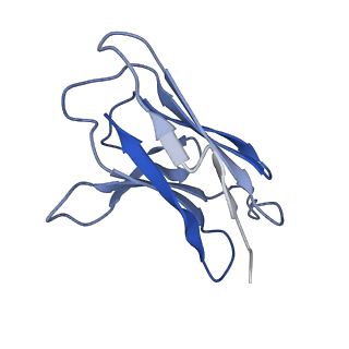 41893_8u4s_A_v1-0
Structure of trimeric CXCR4 in complex with REGN7663 Fab