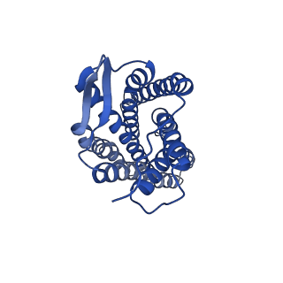 41893_8u4s_C_v1-0
Structure of trimeric CXCR4 in complex with REGN7663 Fab