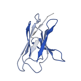 41893_8u4s_E_v1-0
Structure of trimeric CXCR4 in complex with REGN7663 Fab