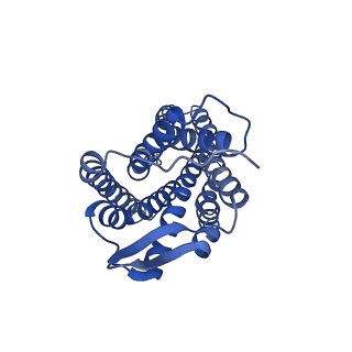 41893_8u4s_G_v1-0
Structure of trimeric CXCR4 in complex with REGN7663 Fab