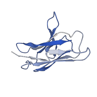 41893_8u4s_L_v1-0
Structure of trimeric CXCR4 in complex with REGN7663 Fab