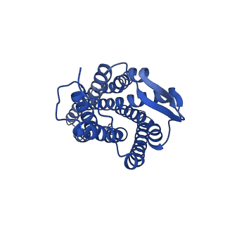 41893_8u4s_R_v1-0
Structure of trimeric CXCR4 in complex with REGN7663 Fab