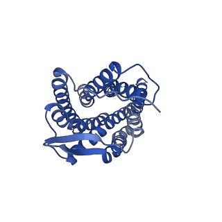 41894_8u4t_AA_v1-0
Structure of tetrameric CXCR4 in complex with REGN7663 Fab