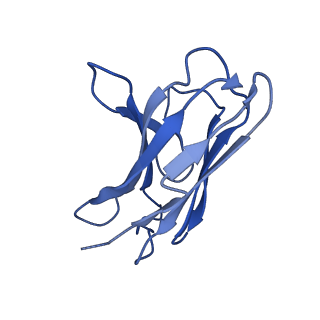 41894_8u4t_F_v1-0
Structure of tetrameric CXCR4 in complex with REGN7663 Fab