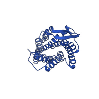 41894_8u4t_I_v1-0
Structure of tetrameric CXCR4 in complex with REGN7663 Fab