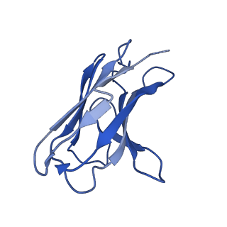 41894_8u4t_Y_v1-0
Structure of tetrameric CXCR4 in complex with REGN7663 Fab