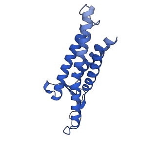 41899_8u4v_A_v1-1
Cryo-EM structure of human claudin-4 complex with Clostridium perfringens enterotoxin C-terminal domain, sFab COP-1, and Nanobody