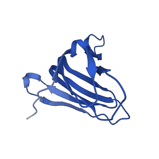 41899_8u4v_B_v1-1
Cryo-EM structure of human claudin-4 complex with Clostridium perfringens enterotoxin C-terminal domain, sFab COP-1, and Nanobody