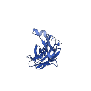 41899_8u4v_H_v1-1
Cryo-EM structure of human claudin-4 complex with Clostridium perfringens enterotoxin C-terminal domain, sFab COP-1, and Nanobody
