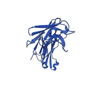 41899_8u4v_L_v1-1
Cryo-EM structure of human claudin-4 complex with Clostridium perfringens enterotoxin C-terminal domain, sFab COP-1, and Nanobody