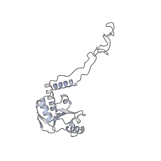 8505_5u4i_E_v1-6
Structural Basis of Co-translational Quality Control by ArfA and RF2 Bound to Ribosome