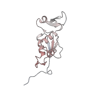 8505_5u4i_K_v1-6
Structural Basis of Co-translational Quality Control by ArfA and RF2 Bound to Ribosome