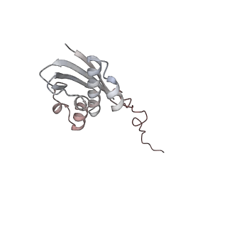 8505_5u4i_i_v1-6
Structural Basis of Co-translational Quality Control by ArfA and RF2 Bound to Ribosome