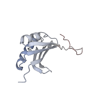 8505_5u4i_k_v1-6
Structural Basis of Co-translational Quality Control by ArfA and RF2 Bound to Ribosome