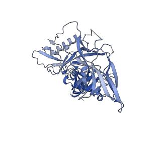 20642_6u59_A_v1-1
HIV-1 B41 SOSIP.664 in complex with rabbit antibody 13B