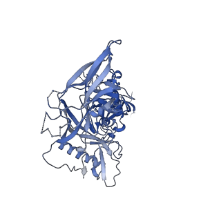 20642_6u59_C_v1-1
HIV-1 B41 SOSIP.664 in complex with rabbit antibody 13B