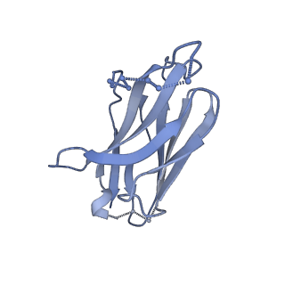20642_6u59_F_v1-1
HIV-1 B41 SOSIP.664 in complex with rabbit antibody 13B
