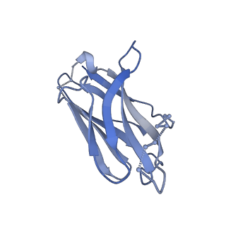 20642_6u59_H_v1-1
HIV-1 B41 SOSIP.664 in complex with rabbit antibody 13B