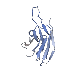 20642_6u59_J_v1-1
HIV-1 B41 SOSIP.664 in complex with rabbit antibody 13B