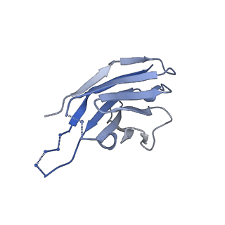 20642_6u59_L_v1-1
HIV-1 B41 SOSIP.664 in complex with rabbit antibody 13B