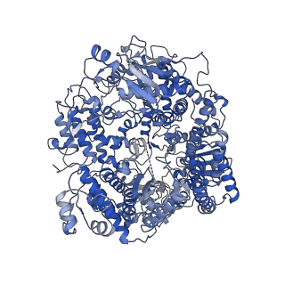 20651_6u5o_L_v1-3
Structure of the Human Metapneumovirus Polymerase bound to the phosphoprotein tetramer