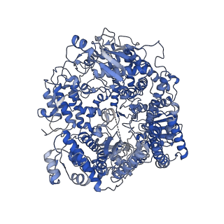 20651_6u5o_L_v1-4
Structure of the Human Metapneumovirus Polymerase bound to the phosphoprotein tetramer