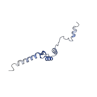 20651_6u5o_P_v1-3
Structure of the Human Metapneumovirus Polymerase bound to the phosphoprotein tetramer